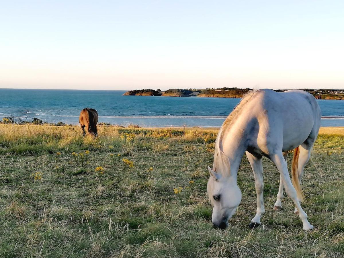Le Ti'Nid - Gite De Charme - Vue Mer Langueux Dış mekan fotoğraf